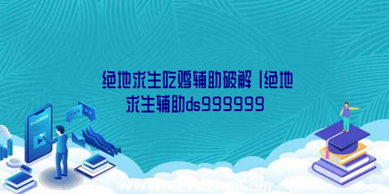 「绝地求生吃鸡辅助破解」|绝地求生辅助ds999999